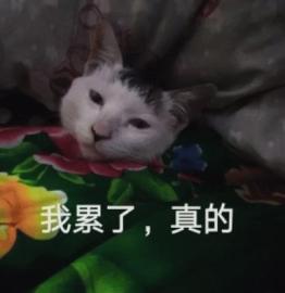 抖音直播英雄聯(lián)盟_騰訊英雄聯(lián)盟比賽直播_騰訊系游戲抖音合作
